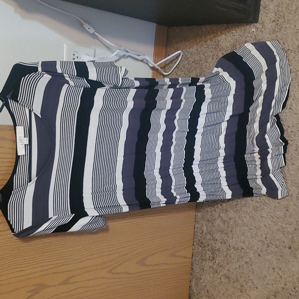 Ann Taylor Loft Medium Dress